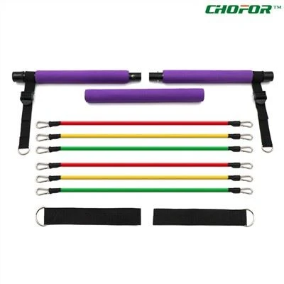 Bärbar Pilates Bar Kit